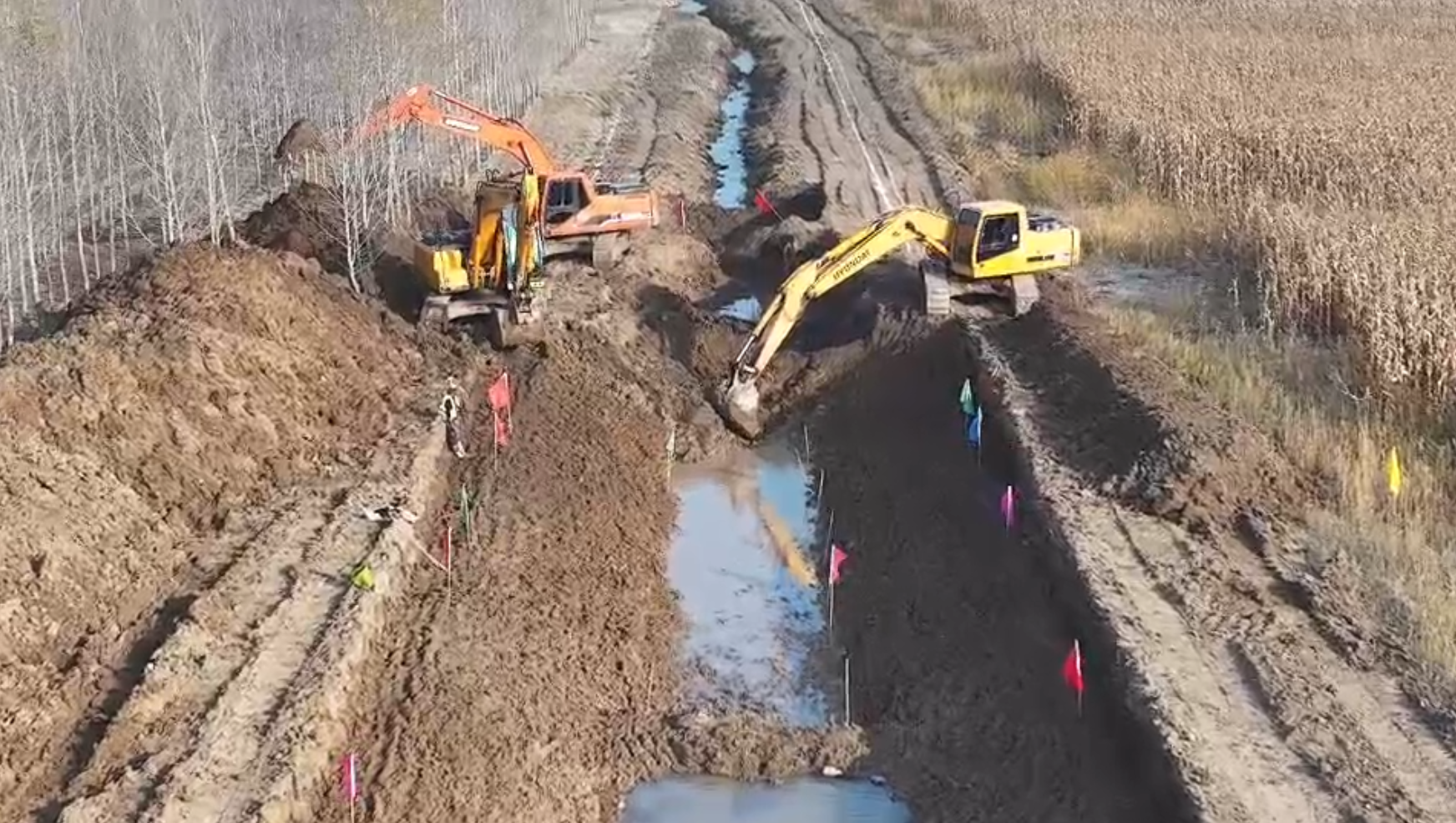 圖片29.png 圖片29.png